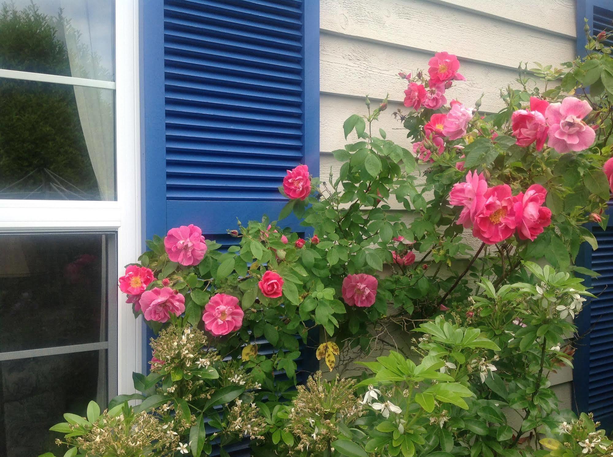 Belle Maison Aupres De La Mer 시드니 외부 사진